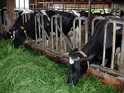 les bases de l agriculture