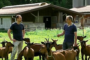 Deux hommes en discutant dans un troupeau de chèvres