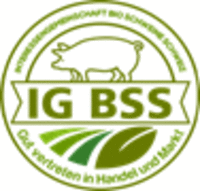 Logo IG BSS