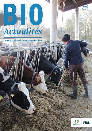 Page de couverture du Bioactualités 2|24: Des vaches mangent du foin à l'auge, une personne pique le foin avec une fourche.