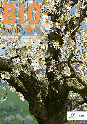Page de couverture du Bioactualités 5|23: La floraison d’un cerisier