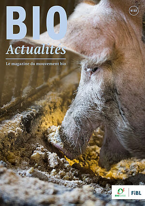 Page de couverture du Bioactualités 6|23: Un cochon qui mange