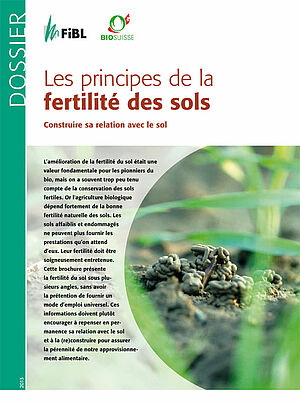 titre du dossier «Les principes de la fertitlité des sols»