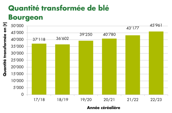 Graphique des quantités de blé Bourgeon transformées en 2023