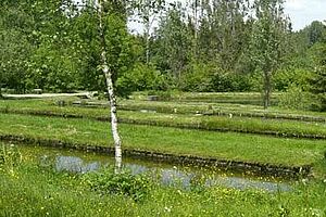 Bassins àpoisson dans un paysage vert