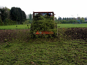 Un tracteur tire une épandeuse à fumier chargée d'herbe fraiche broyée sur un champ labouré et épand l'herbe sur le champ.