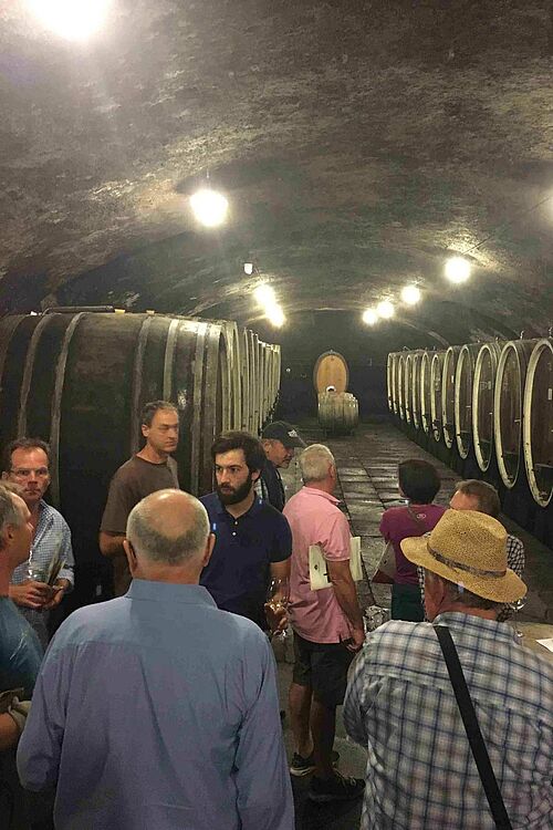 Un groupe de personne dans une belle cave viticole. 