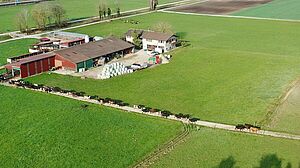 Luftaufnahme eines Weidebetriebes in Gampelen. 