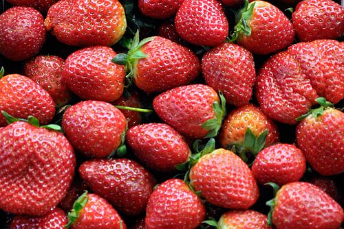 des fraises mûres