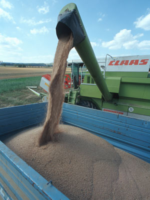 Photo: © BLE, Bonn, Thomas Stephan Transbordement d'une moisson de céréales de la batteuse dans la remorque