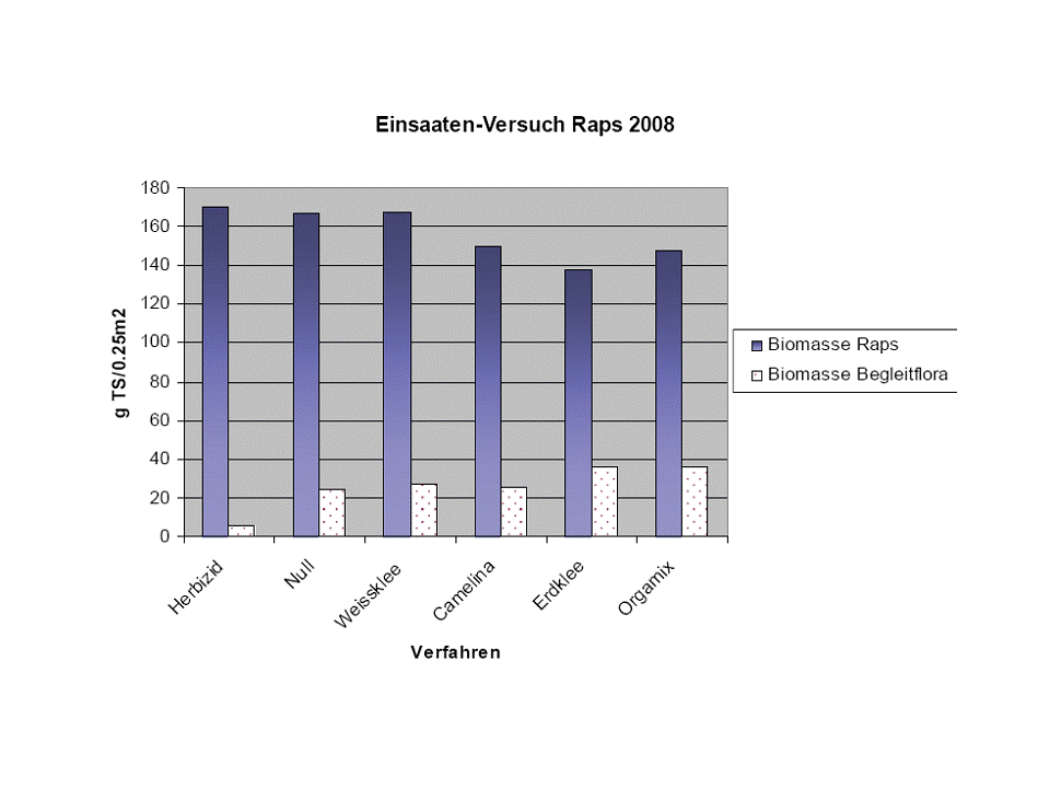 Graphique : Essais sur les semis de couverture dans le colza bio