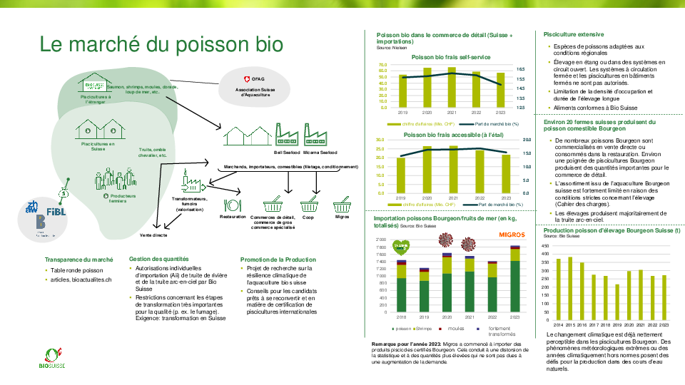 Le marché des poissons bio en un coup d’œil