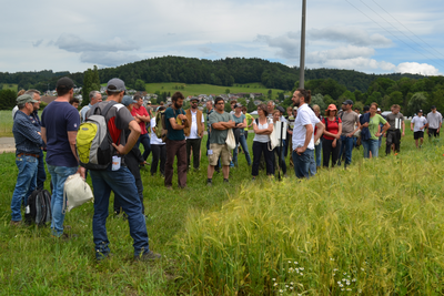 Un groupe de personnes se tient au bord d'un champ.