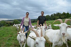 Un couple marche avec de nombreuses chèvres blanches dans un pâturage