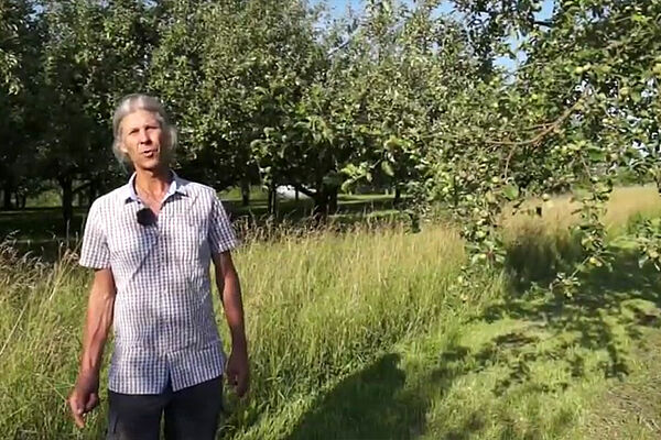 homme dans son verger