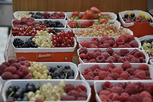 [Translate to Französisch:] Mehrere Schälchen mit verschiedenen reifen, Beeren: Himbeeren, Erdbeeren und andere.