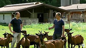 Deux hommes en discutant dans un troupeau de chèvres