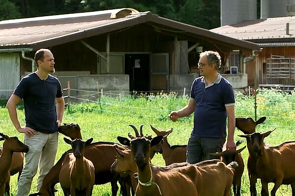 Deux hommes en discutant dans un troupeau de chèvres