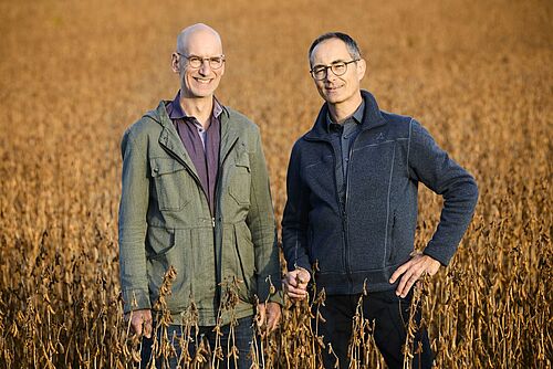 Balz Strasser et Rolf Bernhard dans un champ de céréales.