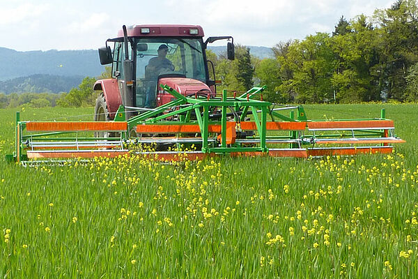 [Translate to Französisch:] Unkrautschneider Combcut im Einsatz gegen gelb blühenden Senf in Weizenfeld