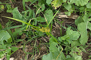 [Translate to Französisch:] 