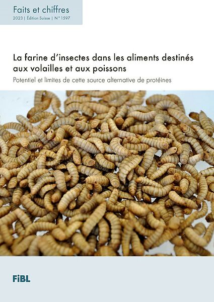 Faits et chiffres: La farine d'insectes dans les aliments