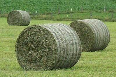 trois balles rondes de foin dans le champ