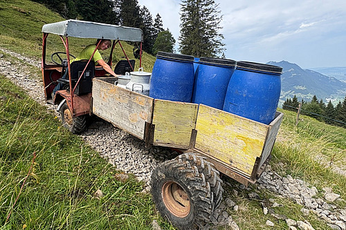 Eine Frau auf einem Transporter, beladen mit blauen Plastickübeln und einer Milchkanne.