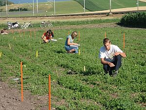 Plusieurs personnnes dans un champ pour déterminer les mauvaisses herbes