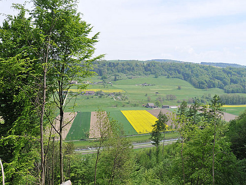 Campagne vallonnée avec champs, prés et haies et forêts.