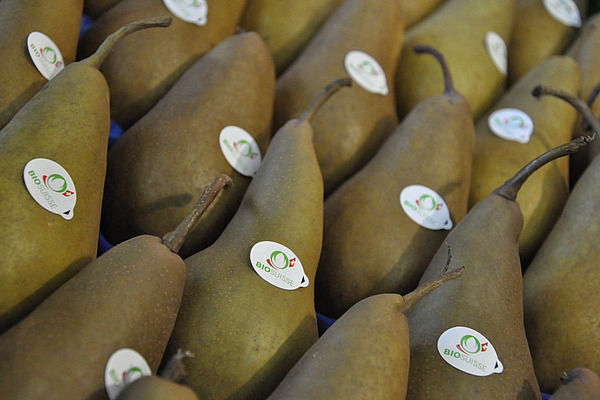 Des poires portant des autocollants Bio Suisse.