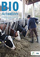 Page de couverture du Bioactualités 2|24: Des vaches mangent du foin à l'auge, une personne pique le foin avec une fourche.