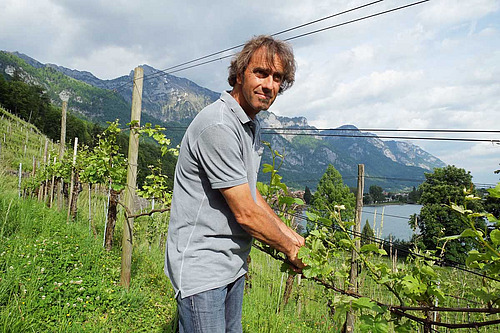 un homme dans la vigne