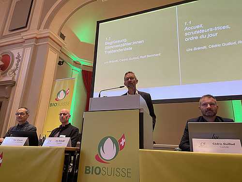 Ein Podium mit vier Männern vor einer Powerpointpräsentation, davon einer an einem Stehpult. 