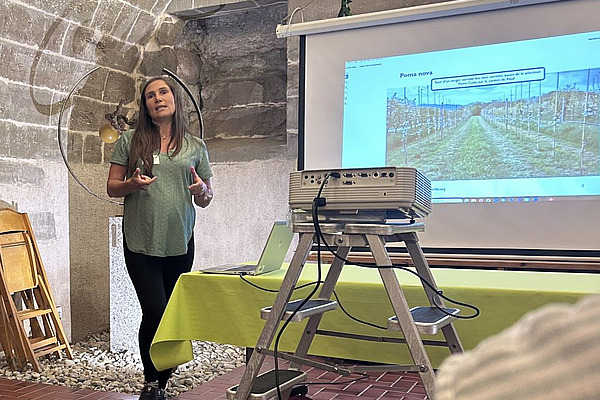 Flore Araldi présente dans une cave les résultats d'une étude, devant un écran