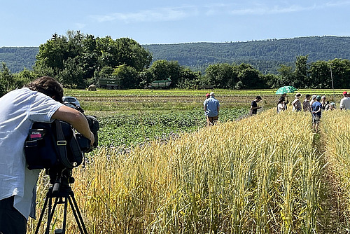 Un caméraman filme des personnes dans un champ.