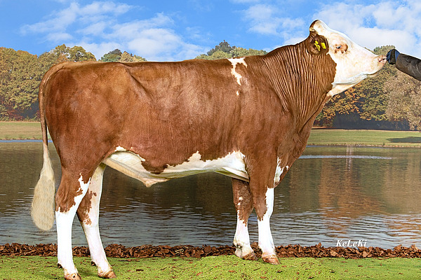 Le taureau bio d'IA Enyo