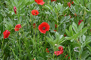 [Translate to Französisch:] 