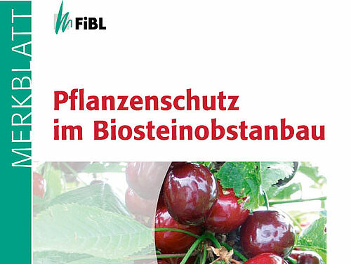 Titelseite des Merkblattes "Pflanzenschutz im Biostgeinobstanbau"
