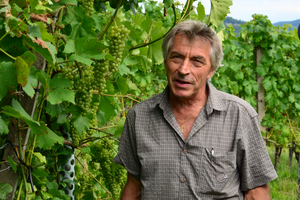 Un homme sourit à la caméra et se tient à côté de plants de vigne avec des raisins verts. 