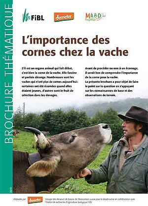 Titre de la brochure «l’importance des cornes chez la vache»