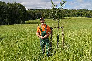 Un homme en tenue de travail se tient près d'un jeune arbre dans un pré. 