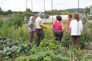 Un groupe de personnes en discussion dans un jardin.