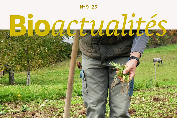 Page de couverture du Bioactualités 9|25: Une personne se tient dans le champ avec un arrache-rumex.