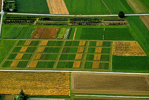 Vue aérienne des petites parcelles d'essais