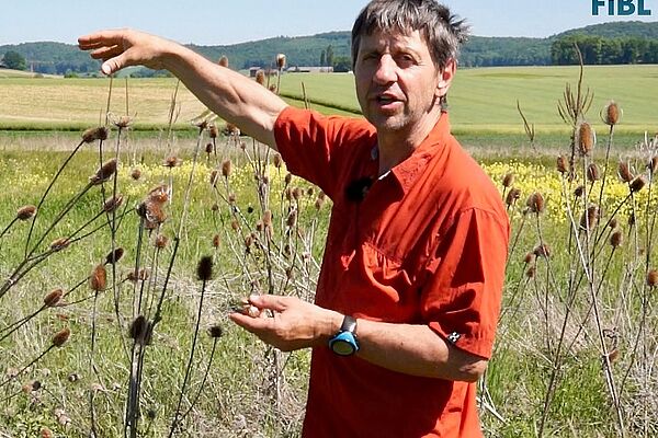 homme devant une jachère florale