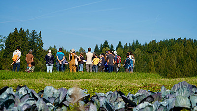 Dans le cadre d'une journée de terrain, un groupe de participants se trouve sur une parcelle agricole et échange, directement au milieu des cultures, sur des thèmes liés à la culture et à l'exploitation. Cette photo illustre le transfert de connaissances axé sur la pratique et l'apprentissage collectif qui sont au cœur des groupes de travail ProBio.