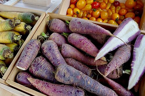 carottes