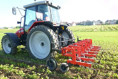 Tracteur et sarcleuse dans un champ de jeune soja