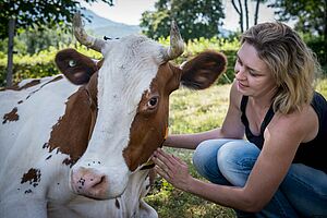 Une femme caresse une vache couchée. 